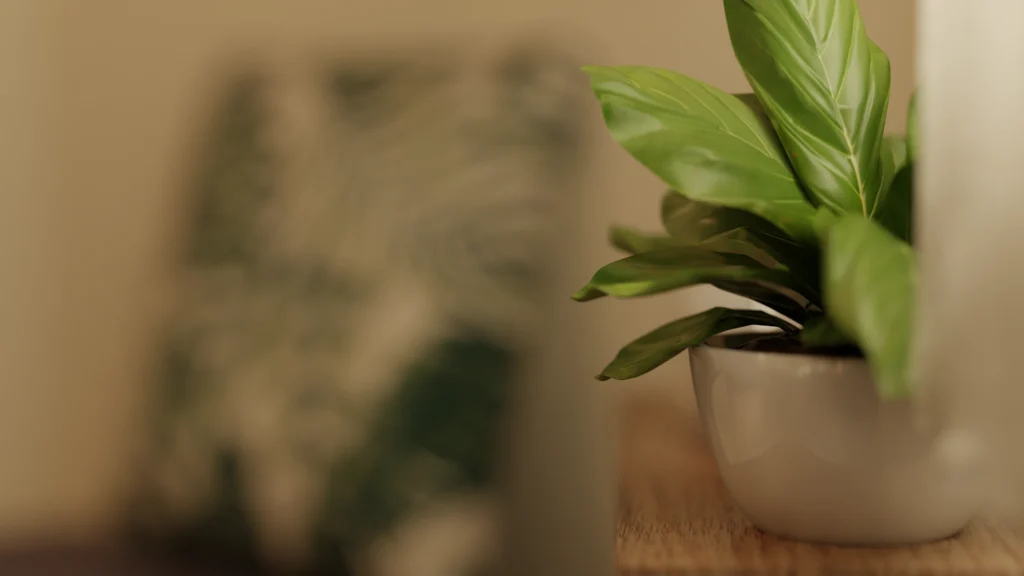 Visualisation 3D d'une plante sur une étagère